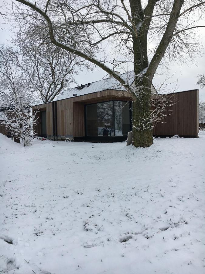 B&B Nyte Drongen Kültér fotó